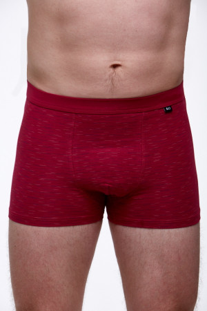 Pánské boxerky 1V0160