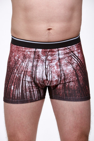 Pánské boxerky 1V0155