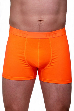 Pánské boxerky 1V0240