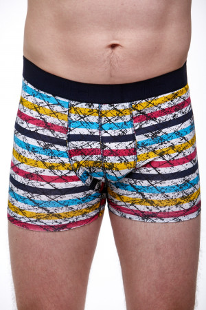 Pánské boxerky 1V0233