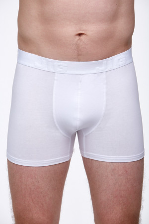 Pánské boxerky 1V0219