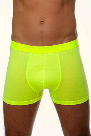 Pánské boxerky 1V0190
