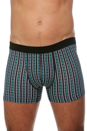 Pánské boxerky 1V0180