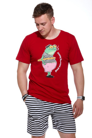 Pánské pyžamo  1P0856